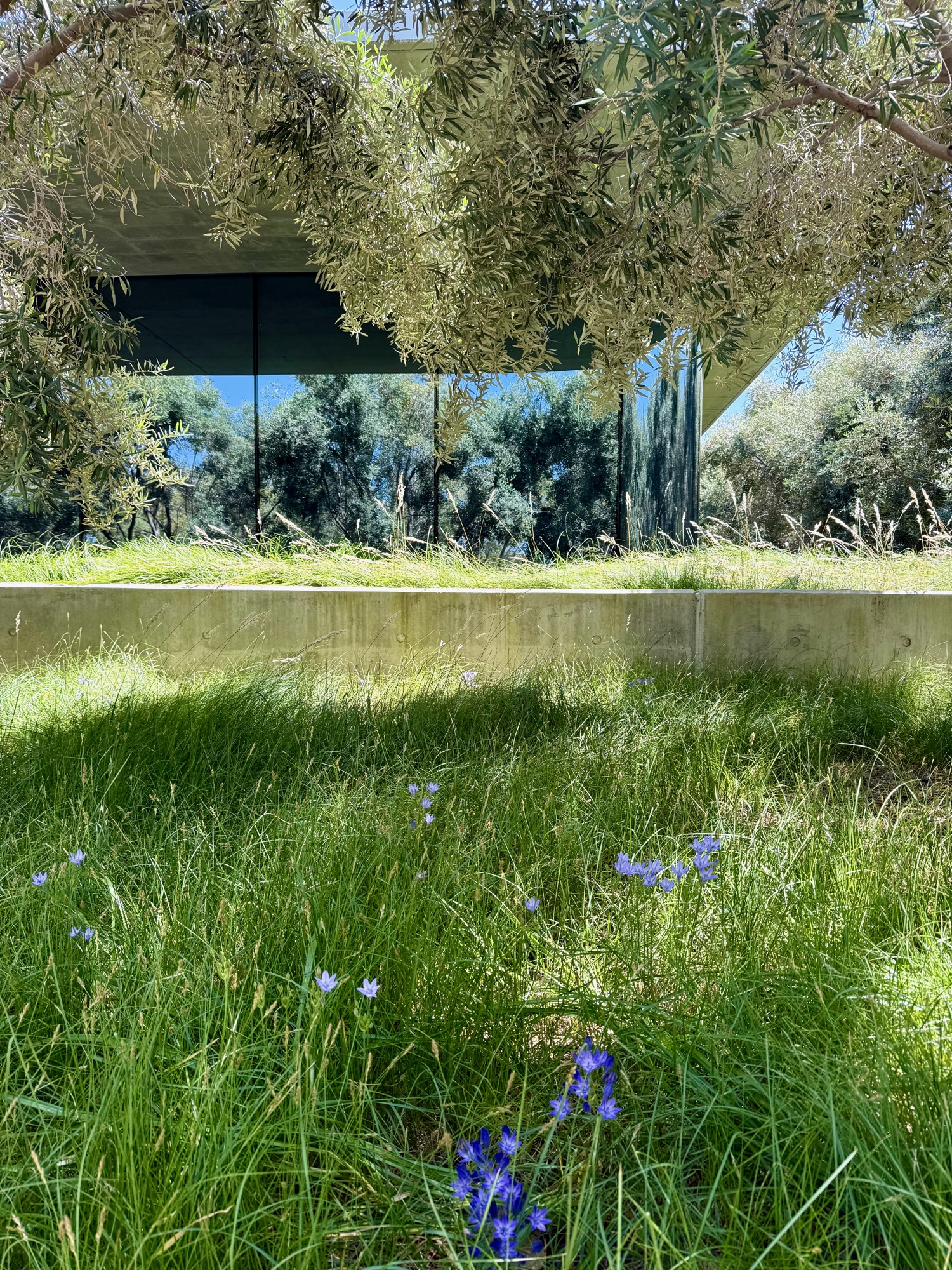 Apple Developer Center